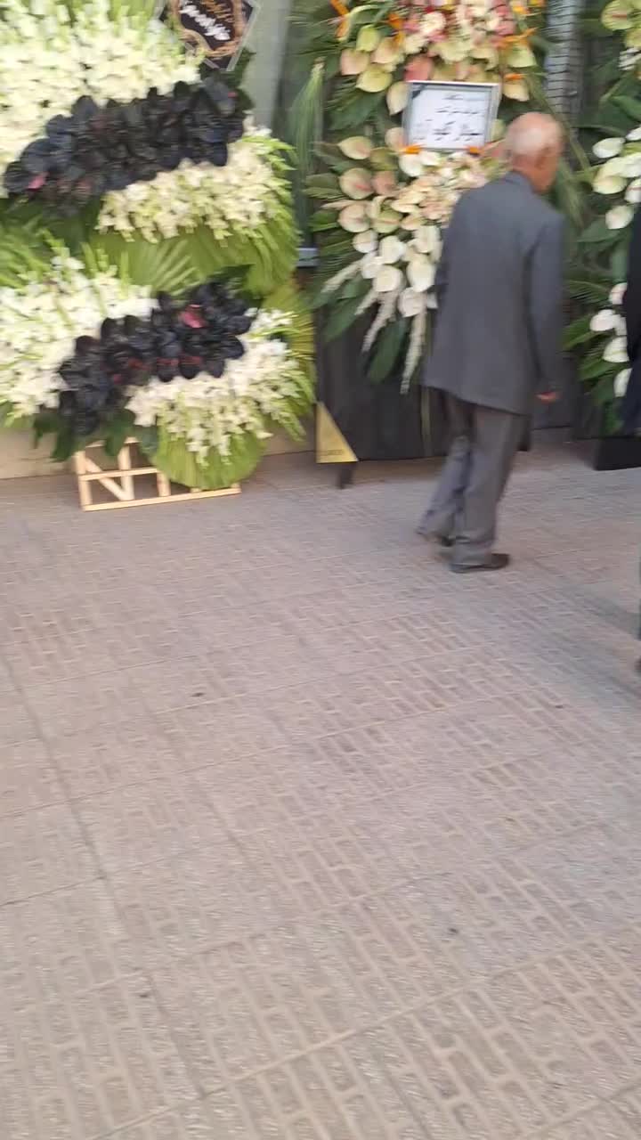 تاج گل ختم|گل و گیاه طبیعی|تبریز, |دیوار