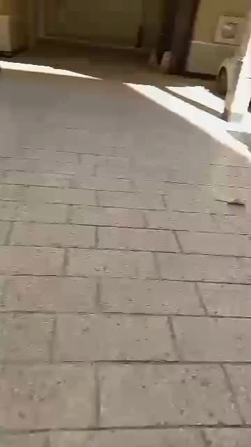 باربری،نیسان خاوروانت،اعزام کارگرحمل،نقل،اثاثیه کش|خدمات حمل و نقل|مشهد, توس (بلوار توس)|دیوار
