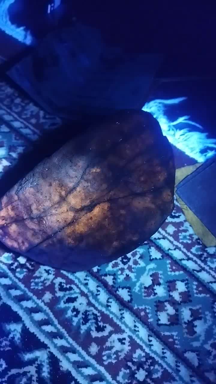 فروش سنگ جواهراتی به وزن 3کیلو و بالاتر|جواهرات|گنبد کاووس, |دیوار