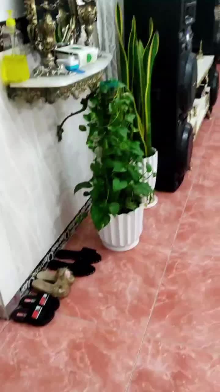 اجاره خانه ویلایی دربست|اجارهٔ خانه و ویلا|صباشهر, |دیوار