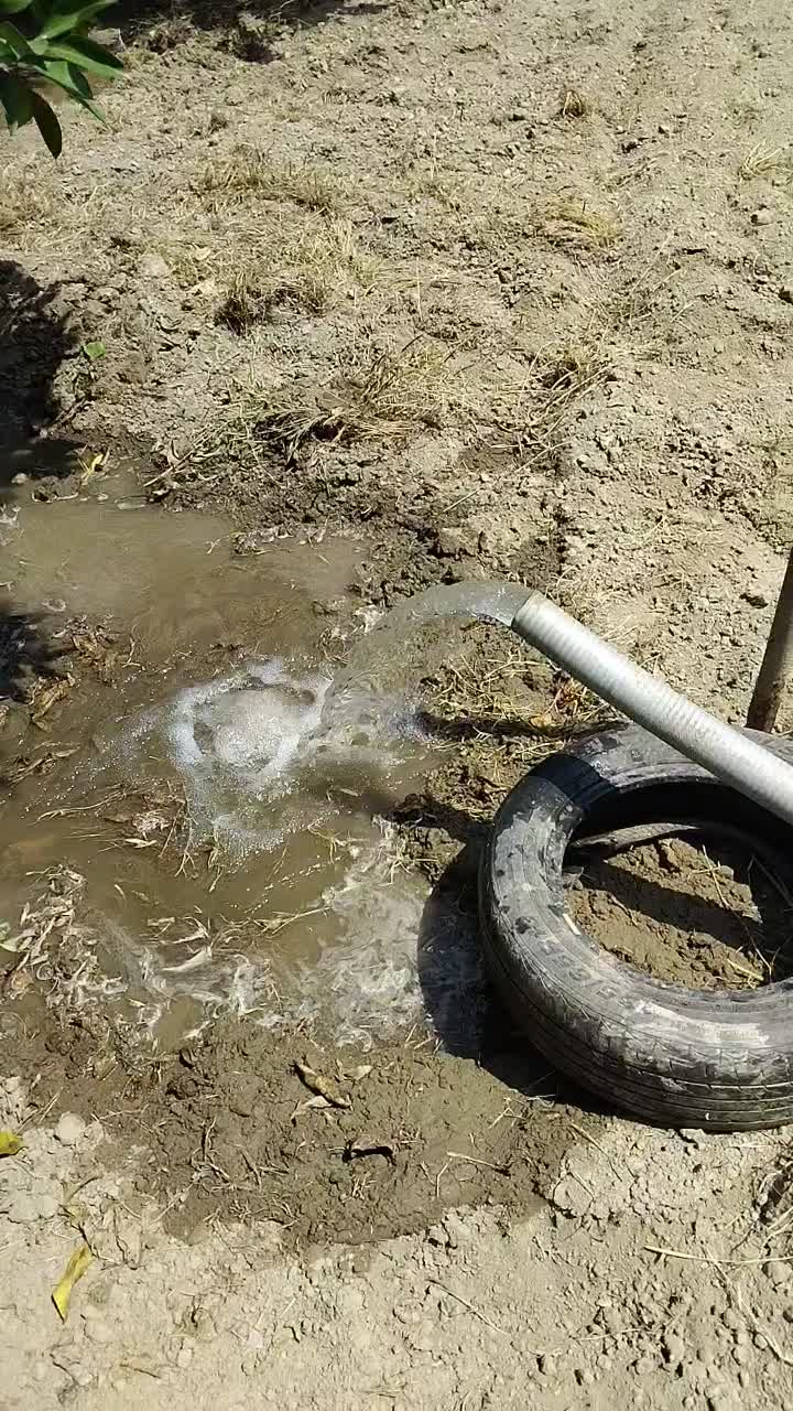 باغ روستای لیوان شرقی|فروش زمین و ملک کلنگی|نوکنده, |دیوار