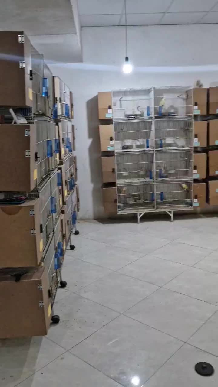 همکار خانم جهت کار در پرورشگاه طوطی|استخدام خدمات فروشگاه و رستوران|مشهد, تربیت (صدف)|دیوار