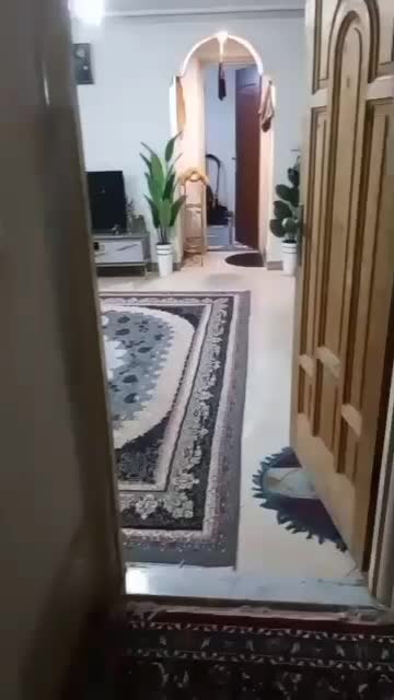 خانه اجاره ای|اجارهٔ خانه و ویلا|پاکدشت, پاکدشت (مامازند)|دیوار