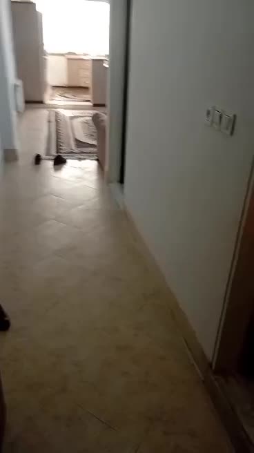 اجاره روازنه منزل دربست سویت هتل اپارتمان باپارکین|اجارهٔ کوتاهمدت آپارتمان و سوئیت|قم, زنبیل آباد|دیوار