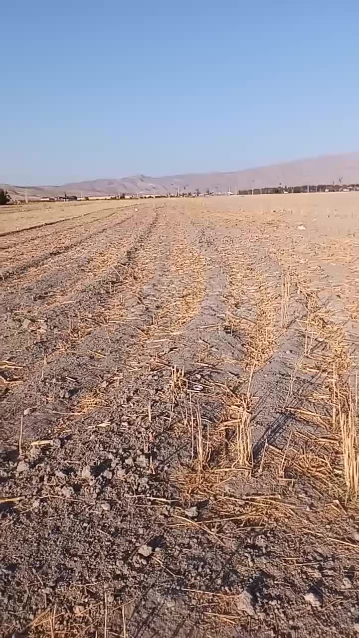 2000|فروش دفتر صنعتی، کشاورزی، تجاری|فیروزآباد (فارس), |دیوار