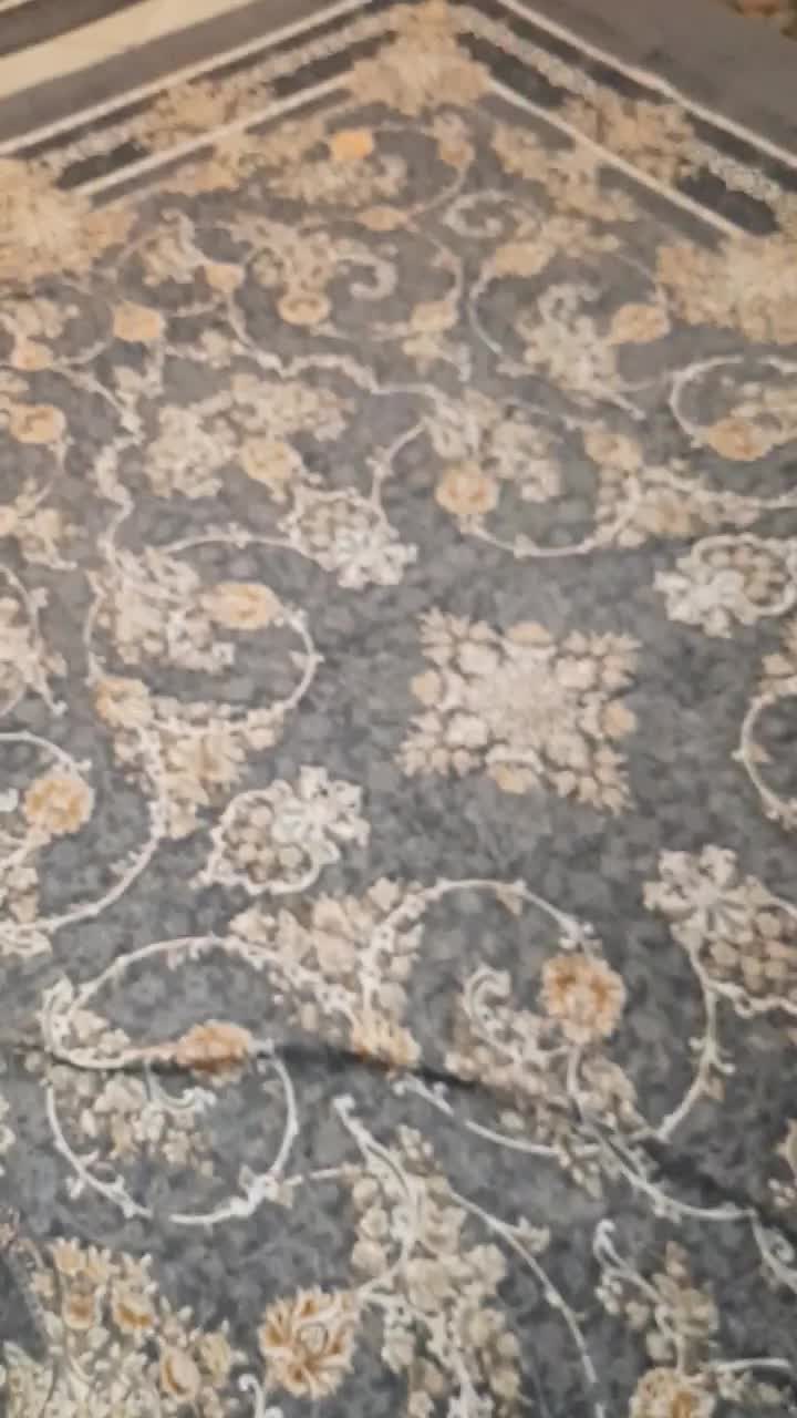 توله سگ اشپیتز ۲ ماه و نیمه|سگ|تهران, جوادیه|دیوار