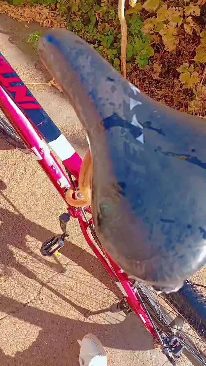 دوچرخه|دوچرخه، اسکیت، اسکوتر|نیمبلوک, |دیوار