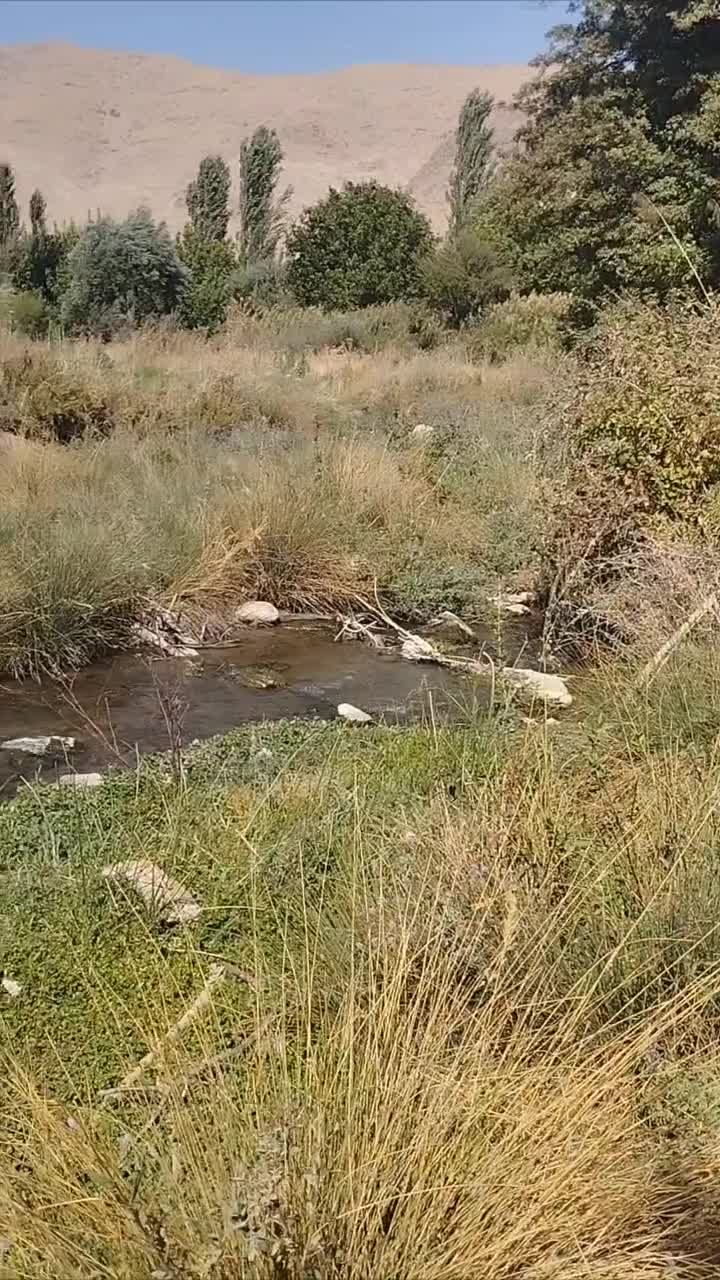 فروش ۳۰۰۰ متری باغ گردو در روستای خلجرود|فروش دفتر صنعتی، کشاورزی، تجاری|کنگاور, |دیوار
