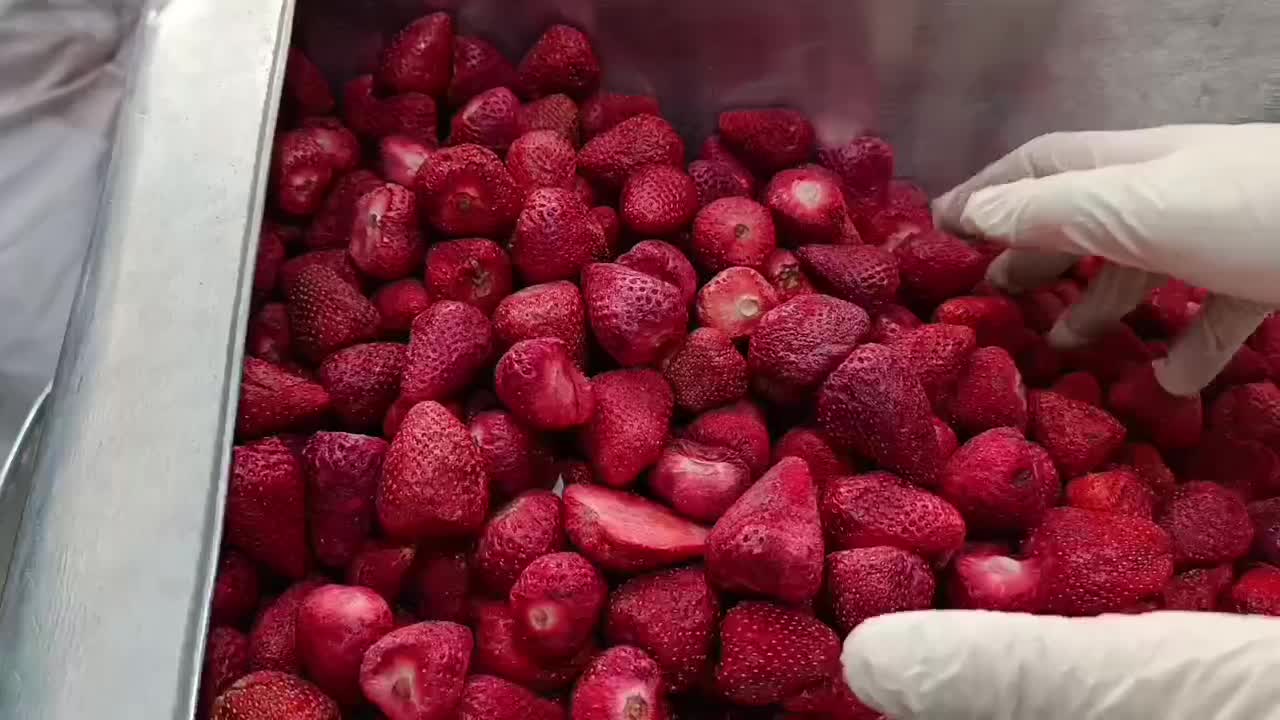 فروش عمده بستنی خشک و میوه خشک با بهترین قیمت|فروشگاه و مغازه|تهران, مولوی|دیوار