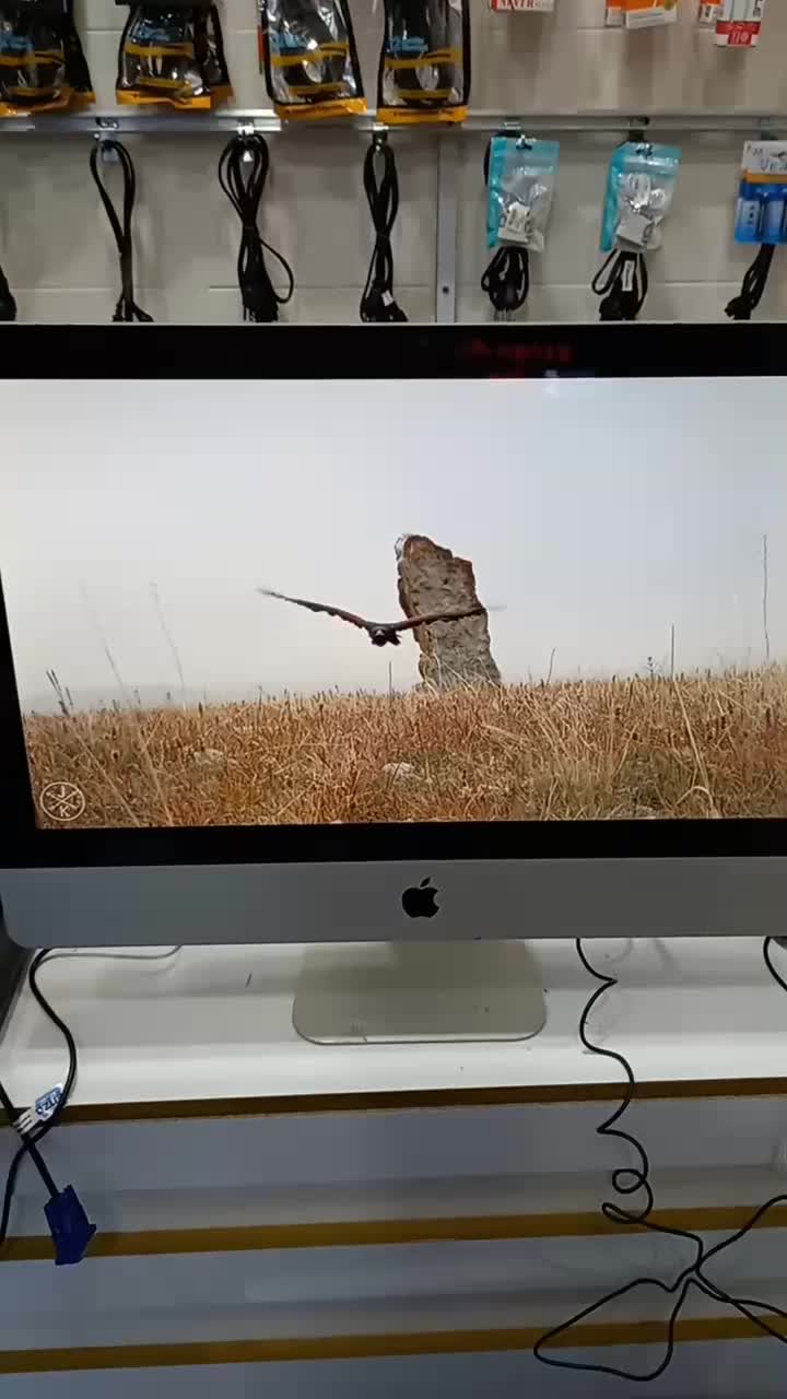 آیمک imac a1418 a1311 a1224|رایانه رومیزی|نیشابور, امین اسلامی|دیوار