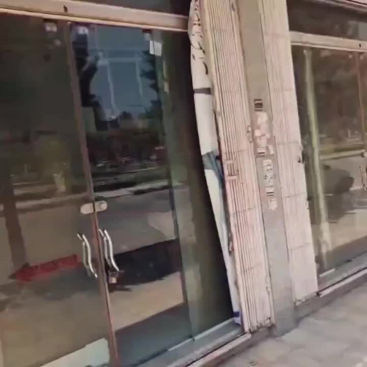 سنتور ارسلان پورشکری دو مهر ویژه (نمایندگی)|سازهای سنتی|کرمانشاه, |دیوار
