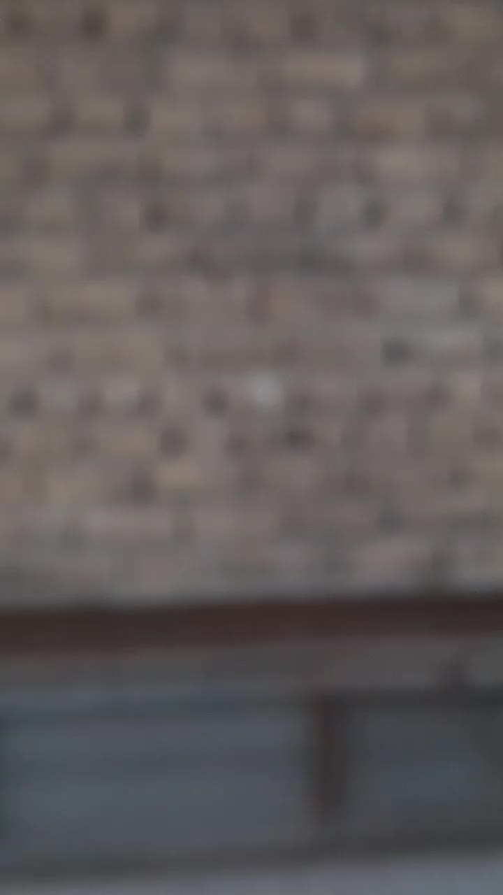 سره رسمی نر جوجه قفس،حلقه پا،ویه ماده مست جوجه قفس|پرنده|اسلامشهر, شهرک سالور|دیوار