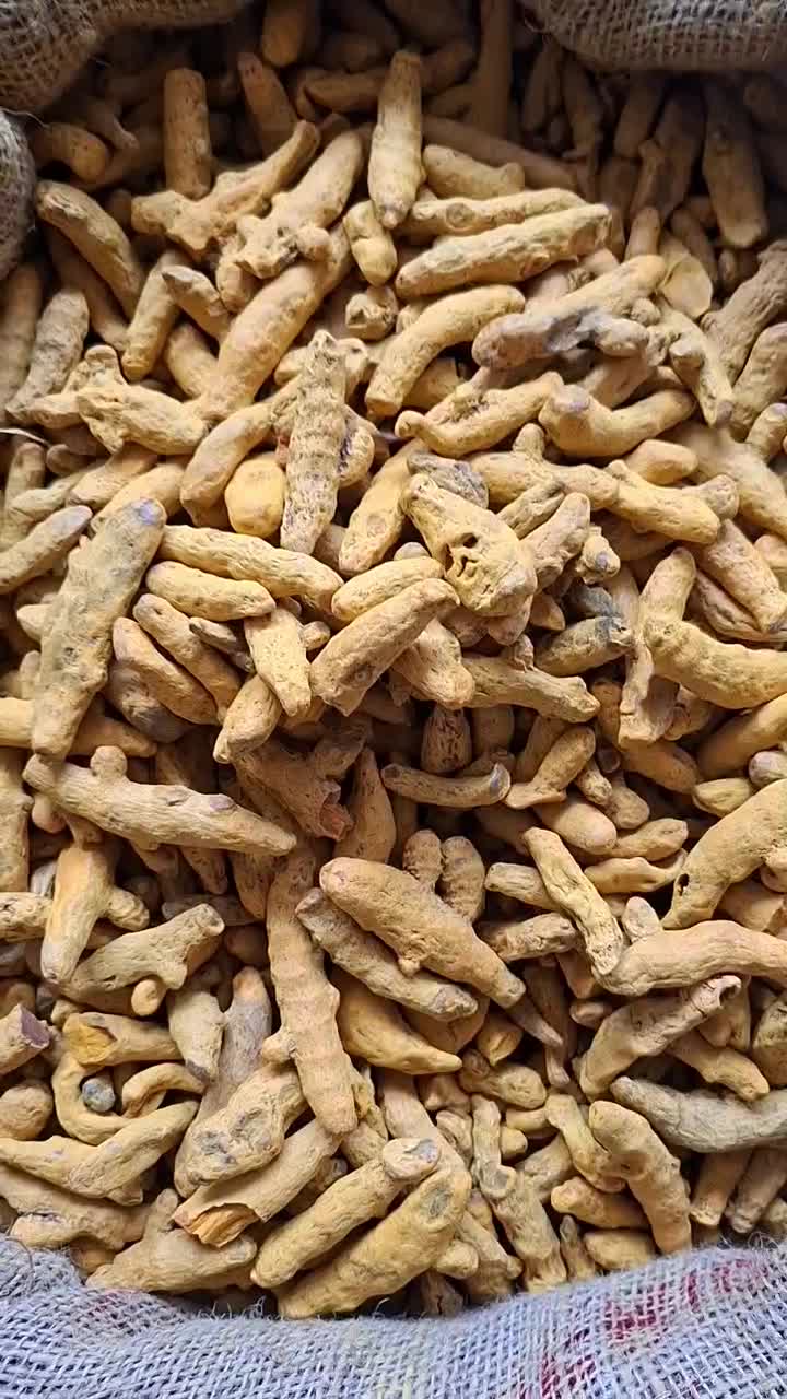 پخش عمده زردچوبه قلم و پودر|عمدهفروشی|مرند, |دیوار