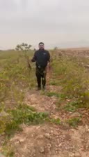 ارقام نهال انگور مستقیم از تولید کننده پاشاپور|گل و گیاه طبیعی|تبریز, |دیوار