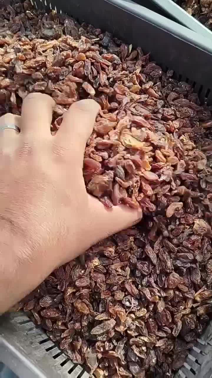 کشمش ۱۰۰درصد آفتابی|خوردنی و آشامیدنی|پاکدشت, پاکدشت (مامازند)|دیوار