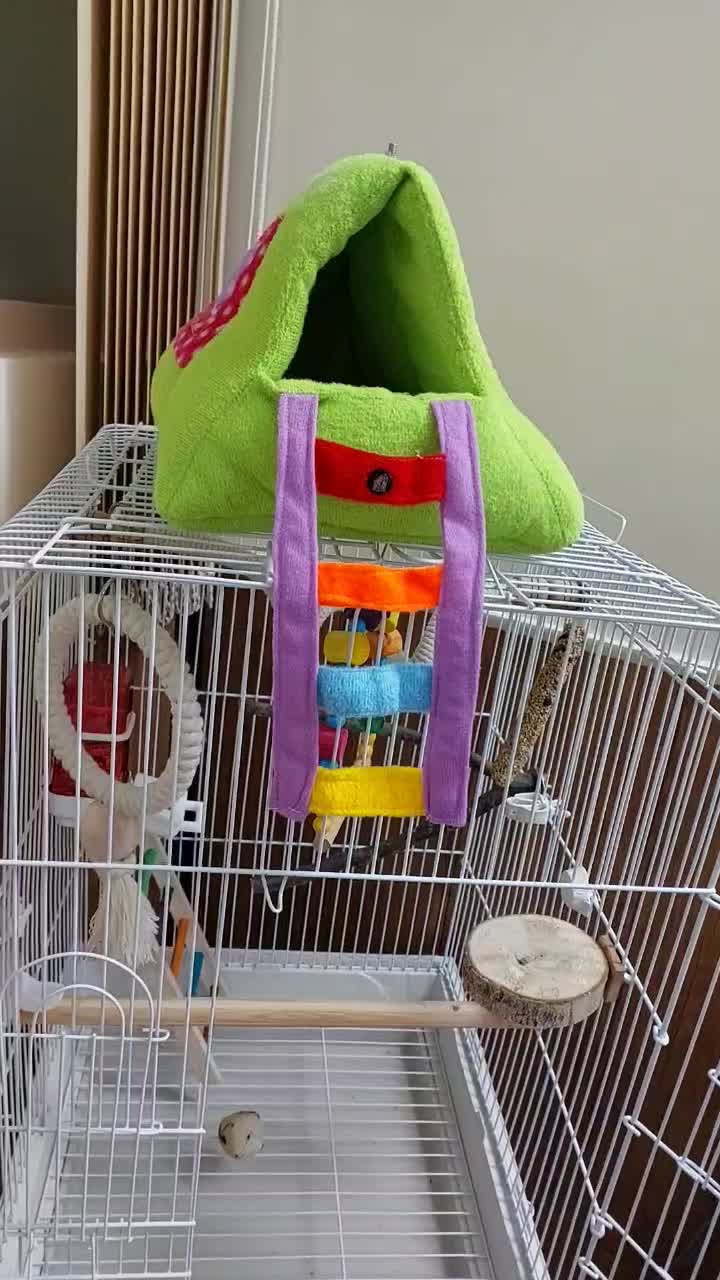 قفس بزرگ طوطی کاسکو با وسایل کامل|لوازم جانبی حیوانات|قم, میرزائیه|دیوار