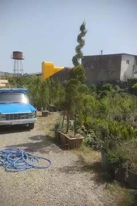 استخدام نیروی کار برای گلخونه|استخدام خدمات فروشگاه و رستوران|چمستان, |دیوار
