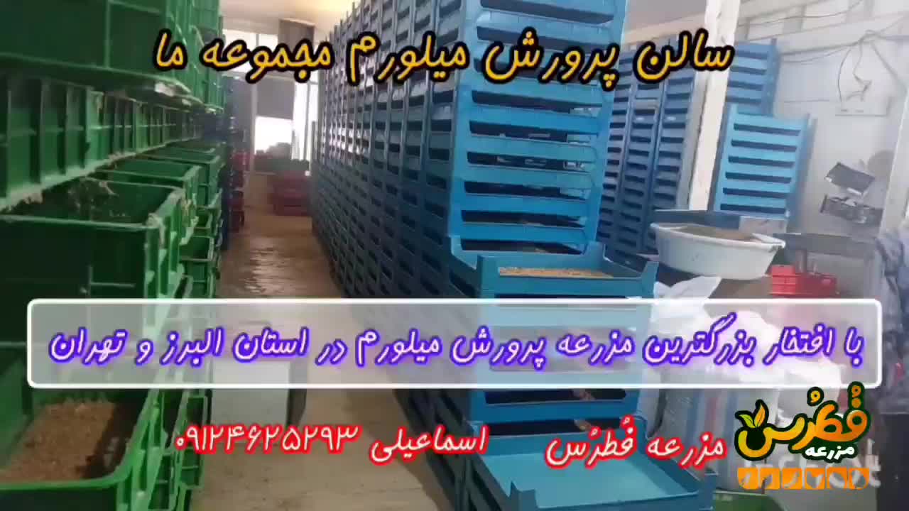 میلورم ، سوپرورم|لوازم جانبی حیوانات|تهران, وردآورد|دیوار
