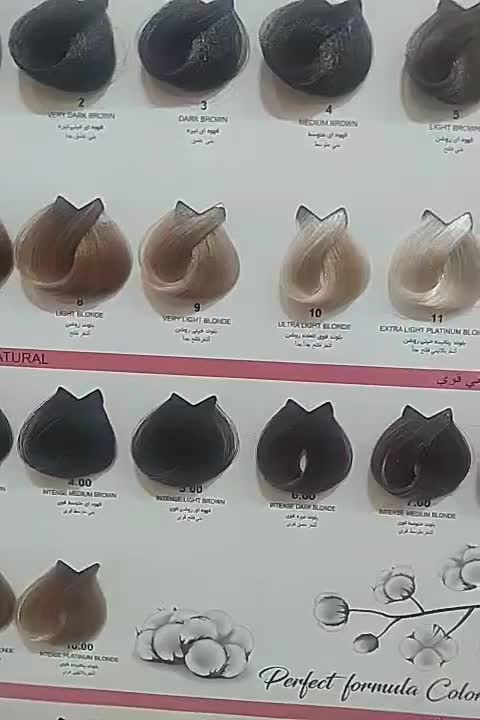 رنگ مو سیلک 100 میل اکسیدان سیلک 750 میل رنگ silk|آرایشی، بهداشتی، درمانی|مشهد, نکاح|دیوار