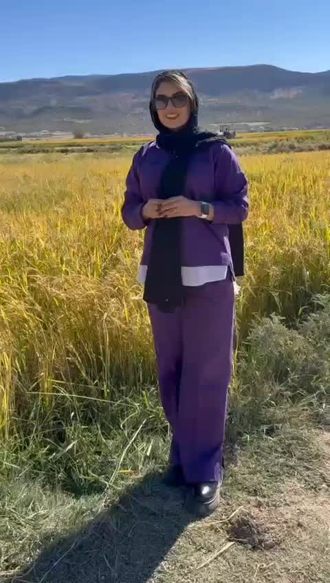 برنج نو درجه یک عالی و علا|خوردنی و آشامیدنی|شیراز, شهرک گلستان|دیوار