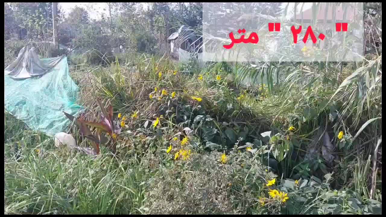 زمین کاربری مسکونی بر خیابون زیر قیمت|فروش زمین و ملک کلنگی|رشت, سلیمانداراب|دیوار