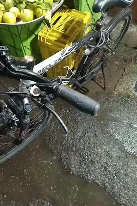 دوچرخه ۲۶|دوچرخه، اسکیت، اسکوتر|لاهیجان, کوی آزادگان|دیوار