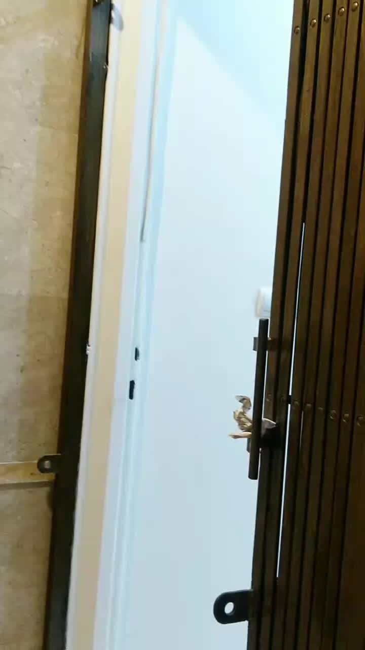 ۵۵ متری یک خواب نورگیر خوش موقعیت|فروش آپارتمان|تهران, هوانیروز|دیوار