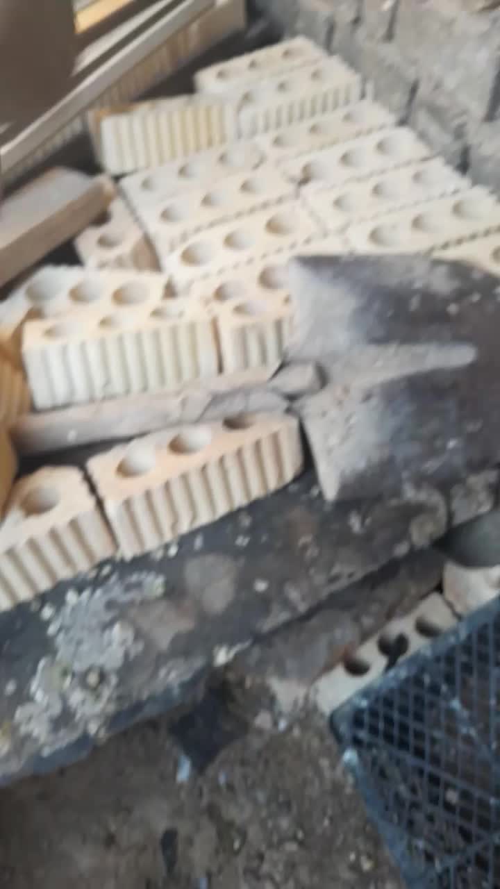 کبوتر|پرنده|کوه چنار, |دیوار