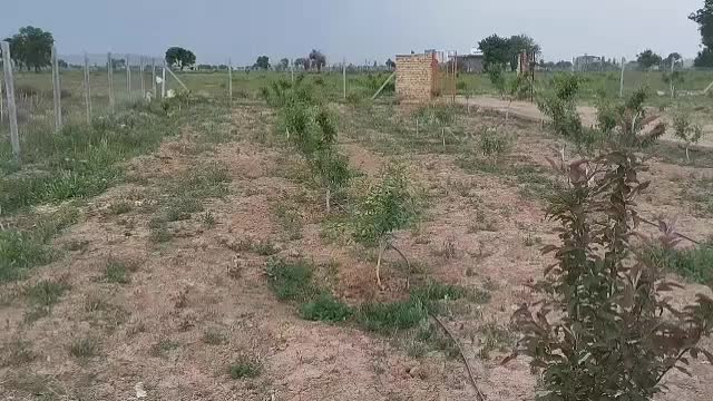 باغ ویلا|فروش خانه و ویلا|کرج, گلستان|دیوار