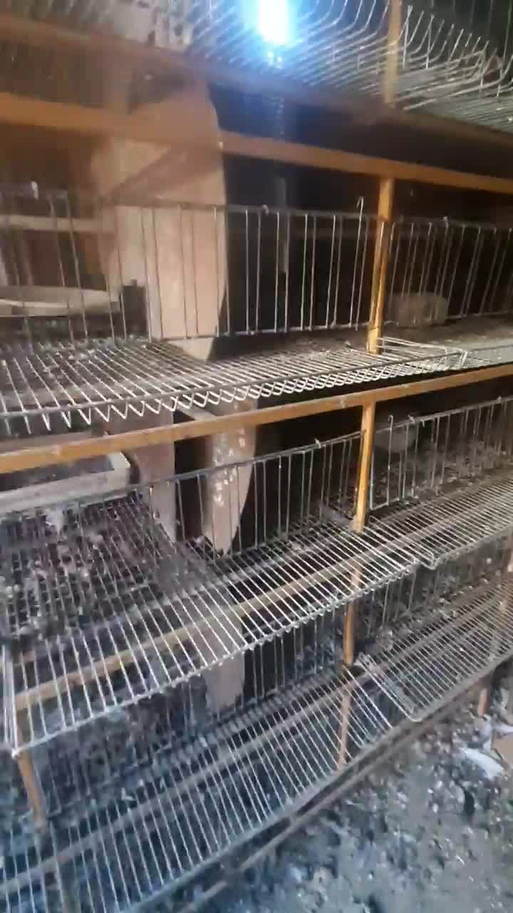 قفس ۵طبقه آهنی مخصوص کبوتر و بلدرچین و...|لوازم جانبی حیوانات|لنجان, |دیوار