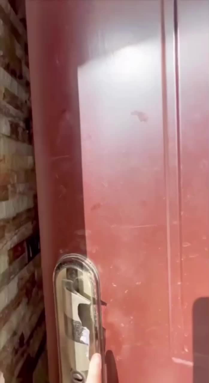 ویلا استخردار 4خوابه دوبلکس مستقیم از مالک|اجارهٔ کوتاهمدت ویلا و باغ|سلمانشهر, |دیوار