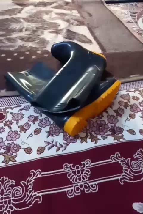 چکمه|کیف، کفش، کمربند|مشهد, طبرسی شمالی|دیوار