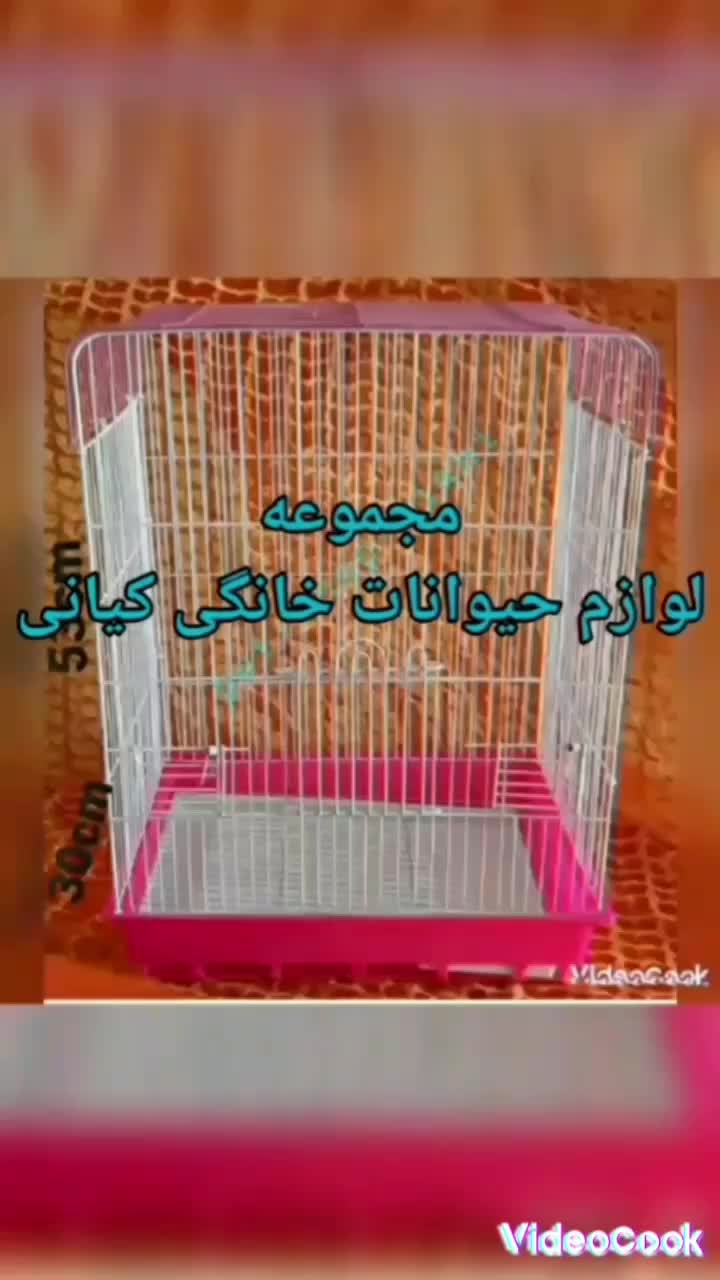 قفس عروس هلندی کوتوله،مینا‌،ملنگو‌ شاه‌طوطی‌کاسکو|لوازم جانبی حیوانات|اصفهان, دانشگاه اصفهان|دیوار