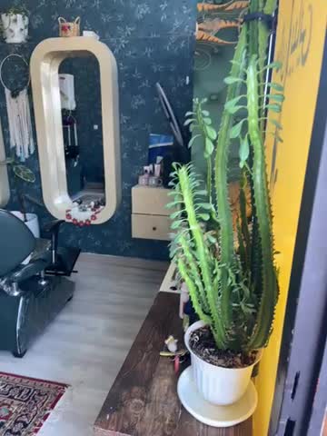 اجاره ی مغازه ی ۱۷متری|اجارهٔ مغازه و غرفه|تالش, هشتپر|دیوار