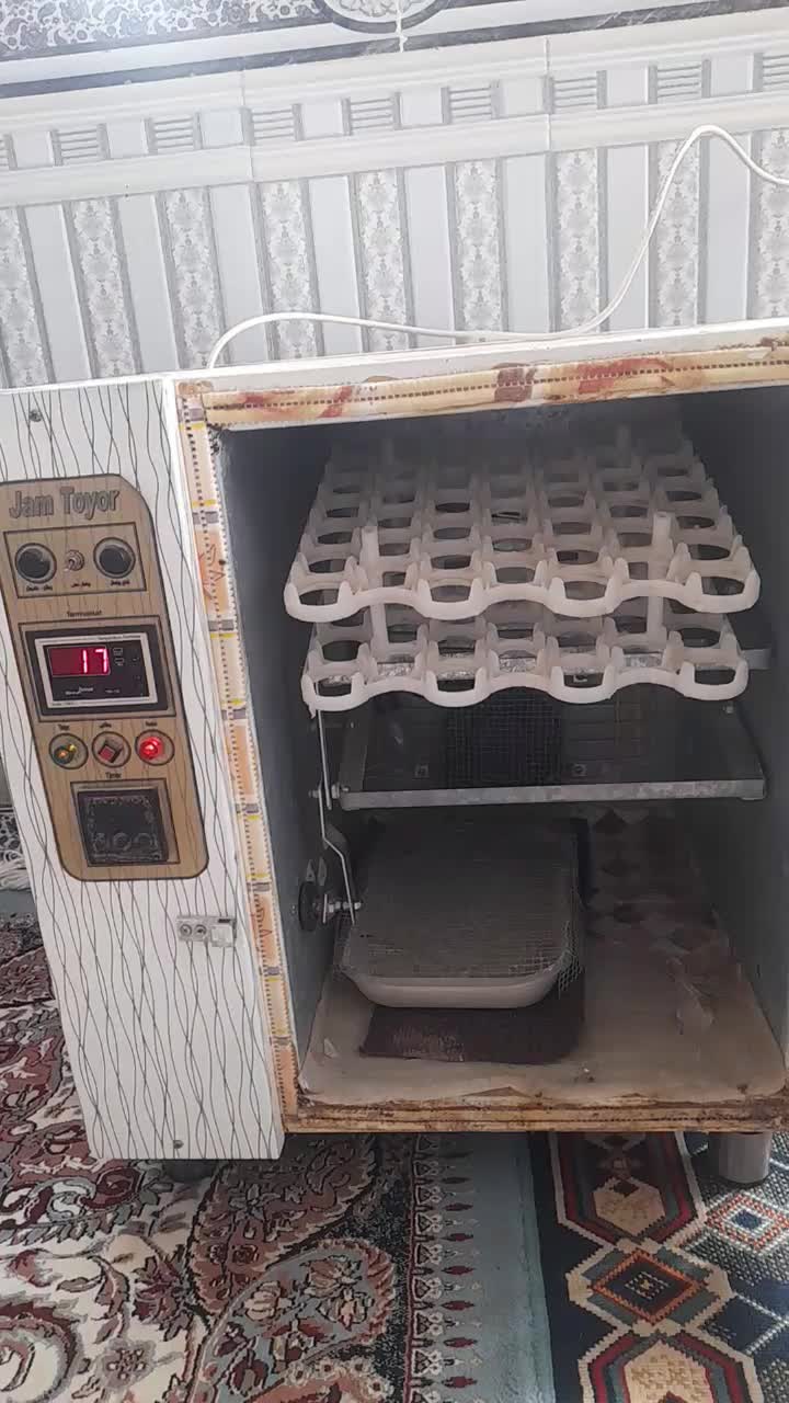 دستگاه جوجه کشی 50 تایی|لوازم جانبی حیوانات|اسفراین, |دیوار