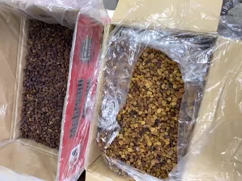 کشمش بیدانه آفتابی پلوئی|خوردنی و آشامیدنی|تاکستان, |دیوار