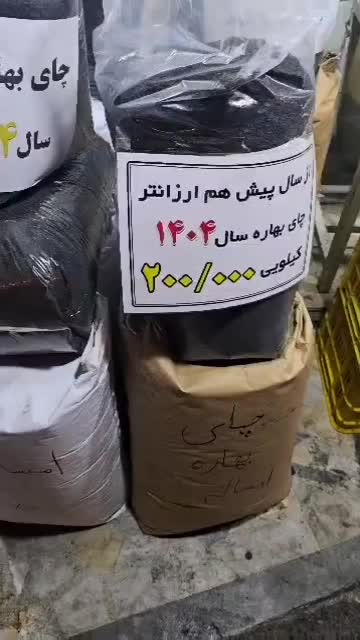 چایی بهاره لاهیجان سال۱۴۰۴ (امساله)|عمده‌فروشی|رشت, جهاد|دیوار