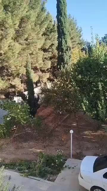 باغ ویلا  لوکس با استخر سر پوشیده و وسایل بازی|اجارهٔ کوتاه‌مدت ویلا و باغ|شیراز, گویم|دیوار