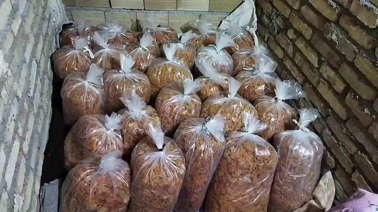 فروش برگه زردالو تازه مال امسال به قیمت بازار|خوردنی و آشامیدنی|مرند, |دیوار