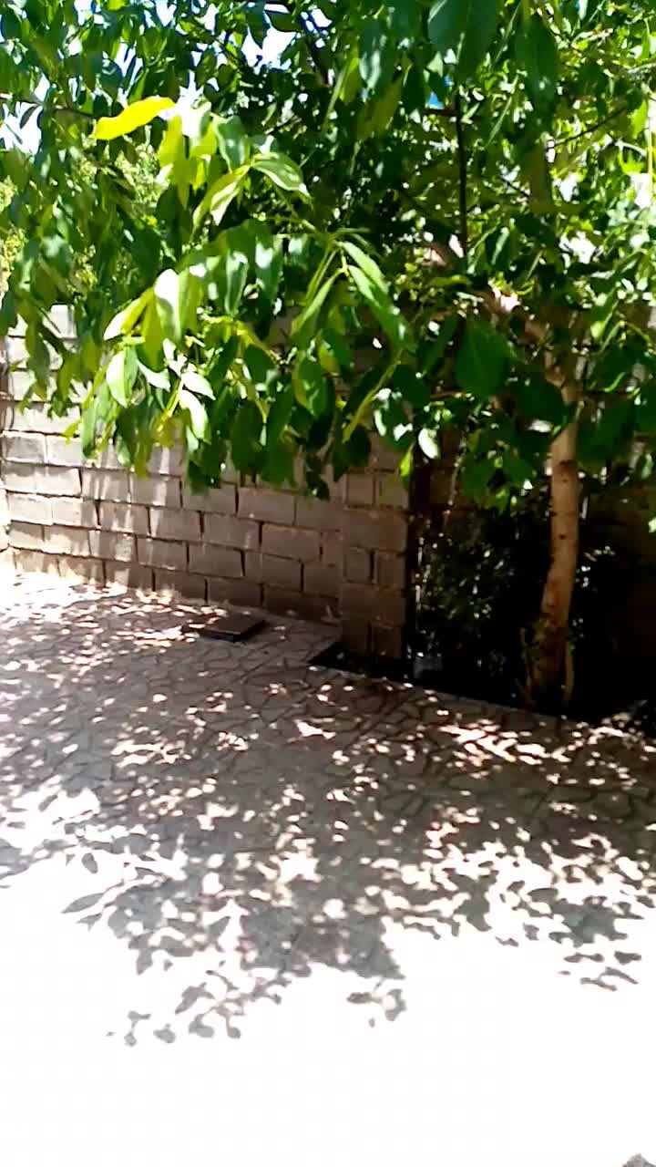 اجاره روزانه/هفتگی/ماهانه آپارتمان ۹۰ متری|اجارهٔ کوتاه‌مدت آپارتمان و سوئیت|کیاسر, |دیوار