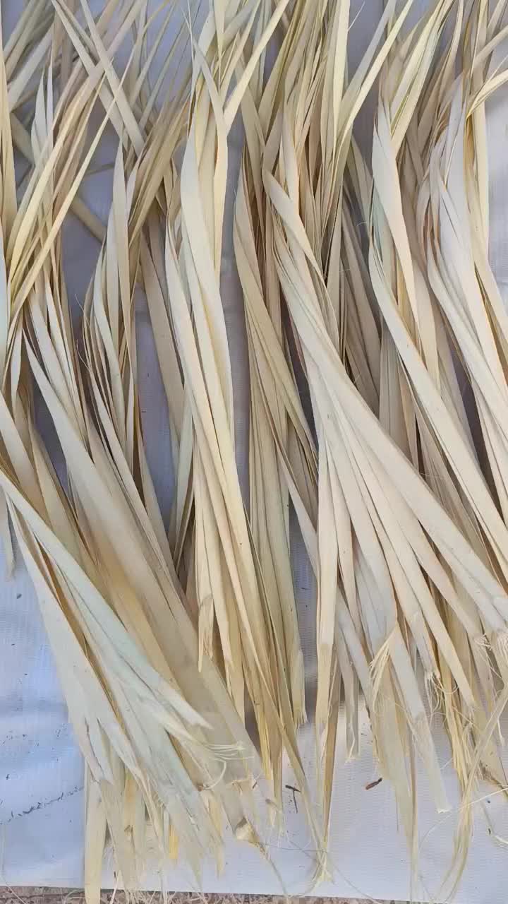 پیش سفید یا پیش دل درجه یک و بلند|صنایع دستی و سایر لوازم تزئینی|میناب, |دیوار