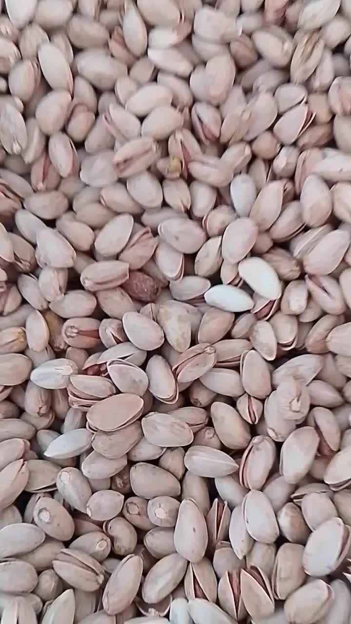 فروش انواع پسته ارگانیک دامغان مستقیم/بدون واسطه|خوردنی و آشامیدنی|تهران, تهران‌ویلا|دیوار