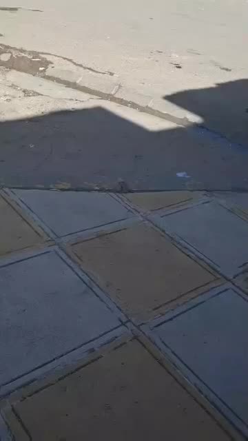 بتون ریزی با خلاطه|خدمات پیشه و مهارت|مهران (ایلام), |دیوار