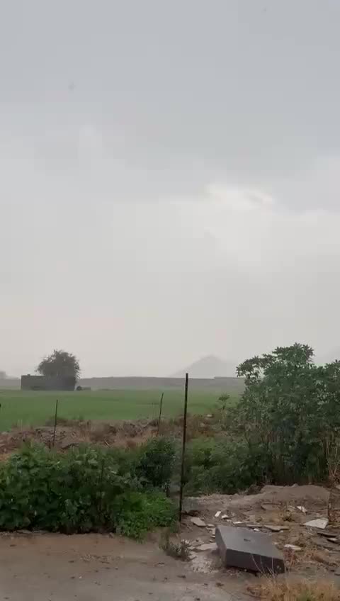 فروش زمین طرح هادی|فروش دفتر صنعتی، کشاورزی، تجاری|باشت, |دیوار