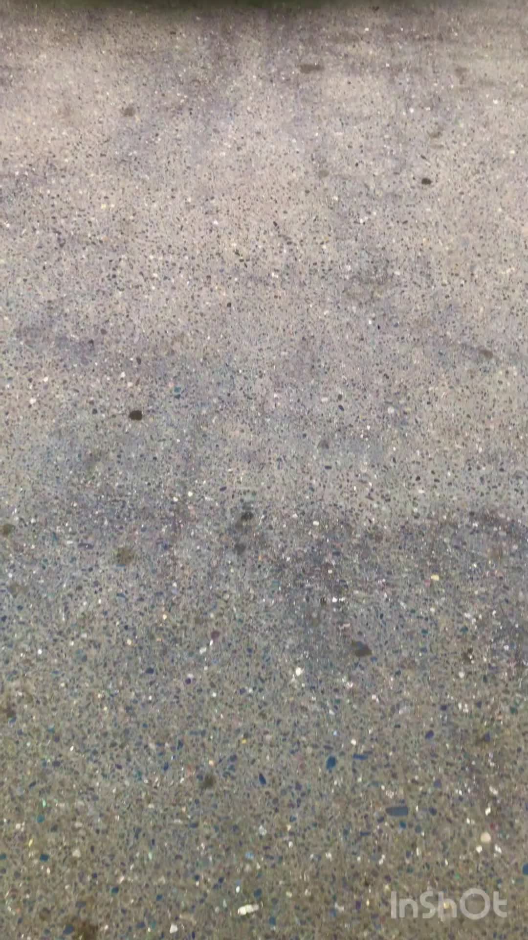 پولیش واکس سرامیک احیا رنگ خودرو لیسه گیری|خدمات موتور و ماشین|رشت, یخسازی|دیوار