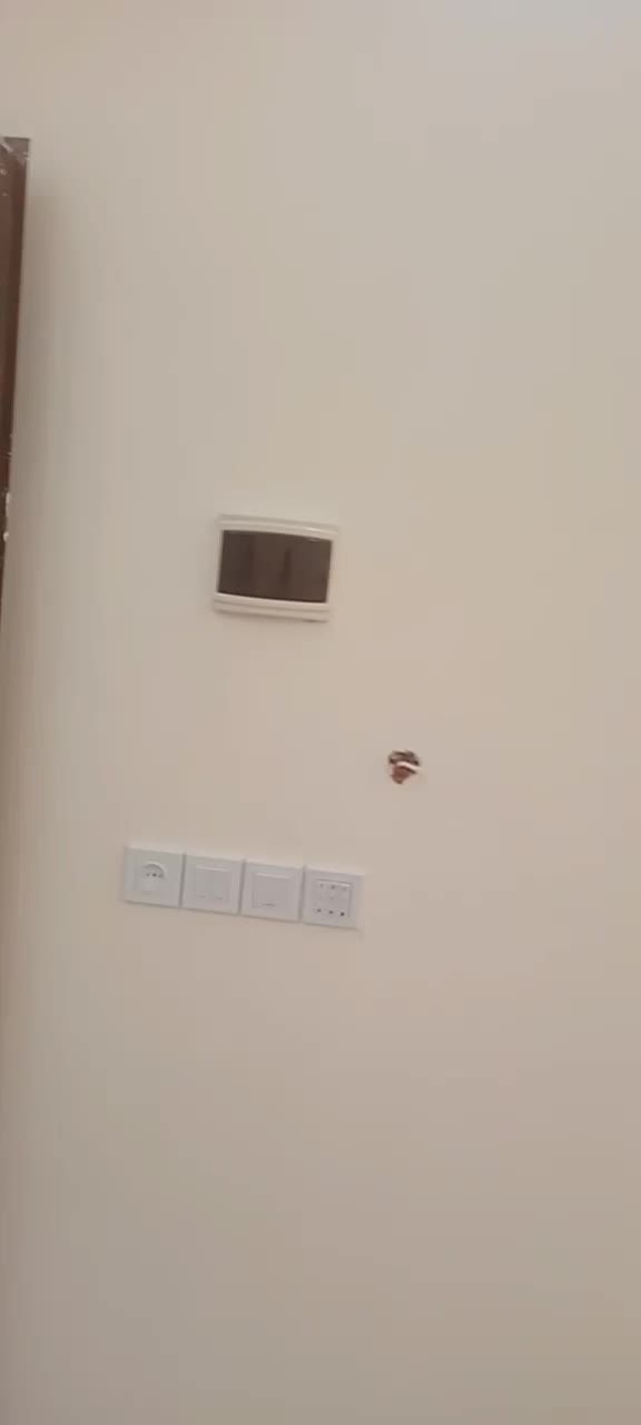 سیم کشی ساختمان|خدمات پیشه و مهارت|مشهد, انصار|دیوار