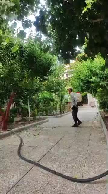خدمات باغبانی گلکاری هرسکاری سمپاشی صفر تا صدهمجا|خدمات باغبانی و درختکاری|پردیس, |دیوار