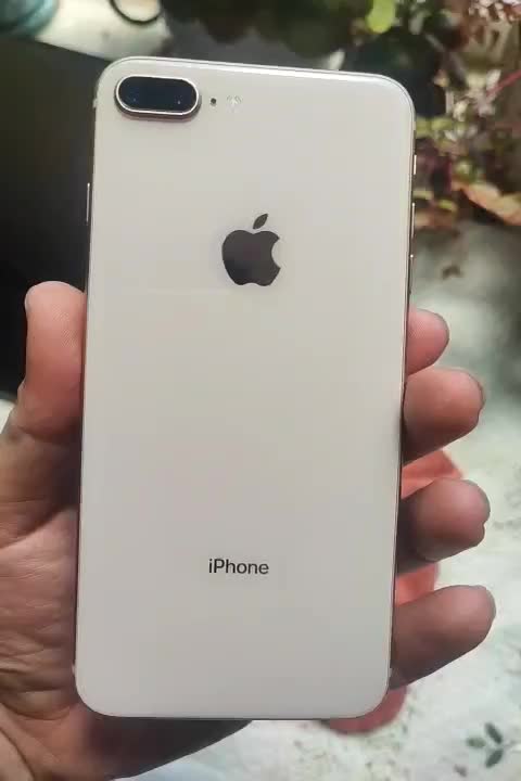 8plus 256 gold|موبایل|اشتهارد, |دیوار