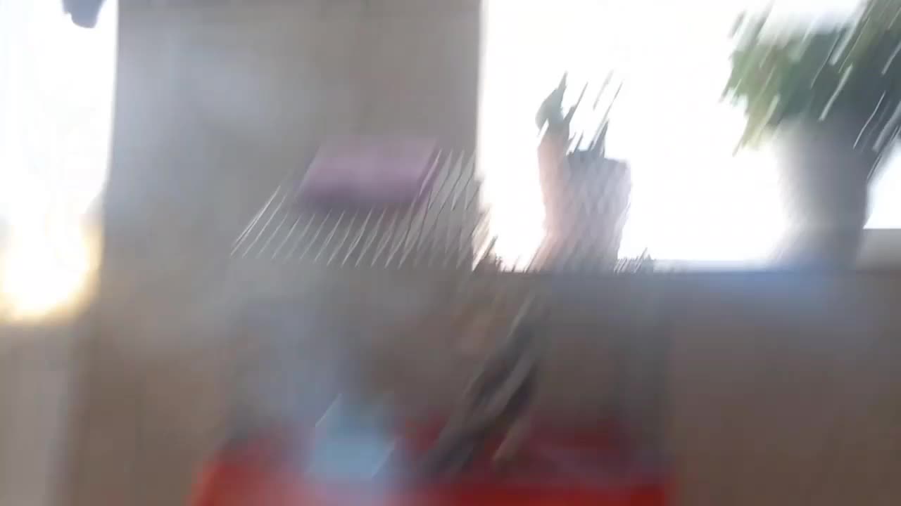 عروس هلندی|پرنده|صحنه, |دیوار