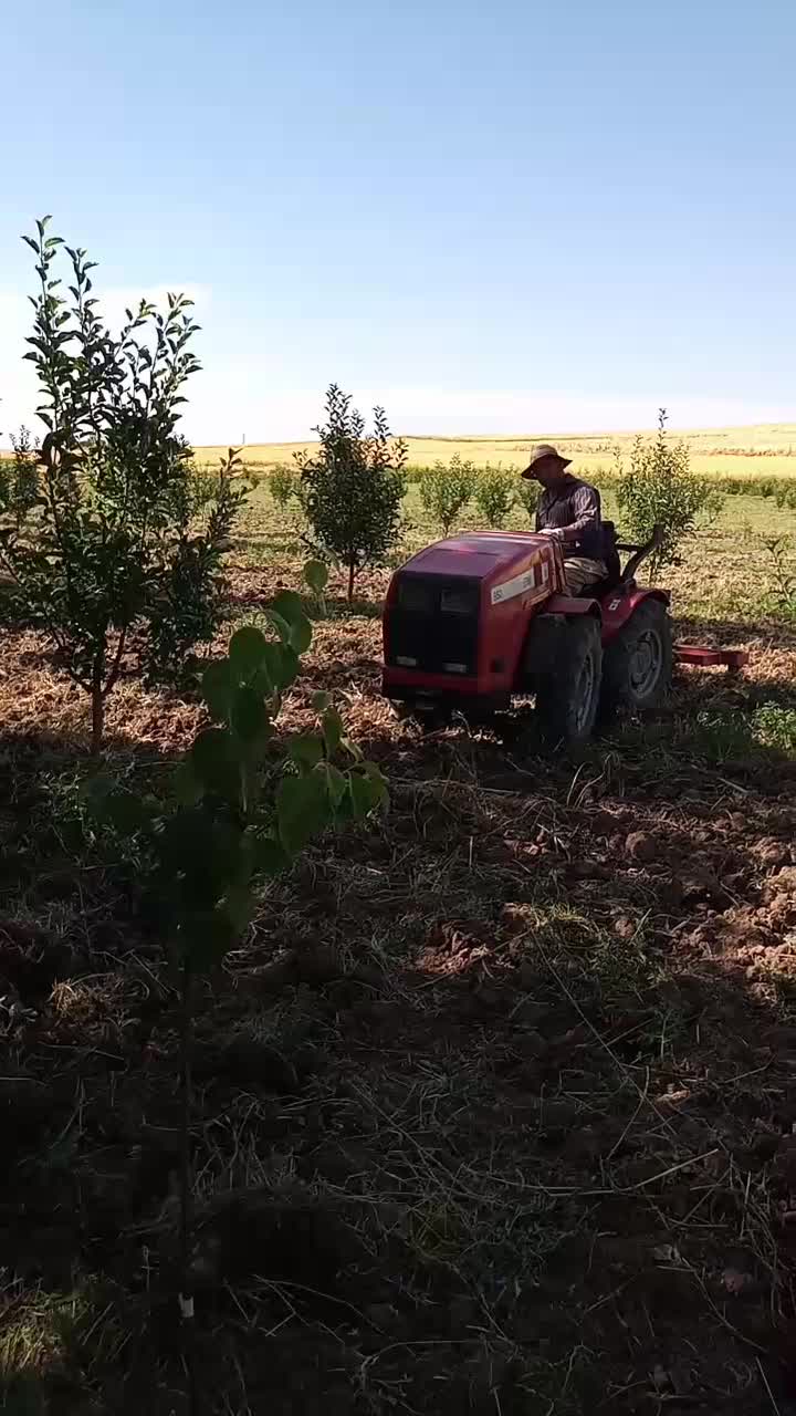 تراکتور950|خودرو سنگین|سیلوانه, |دیوار